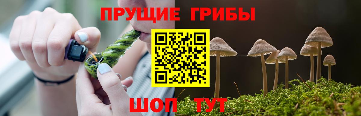 Псилоцибиновые грибы Cubensis  дарнет шоп  Красноуфимск  Вход с VPN 